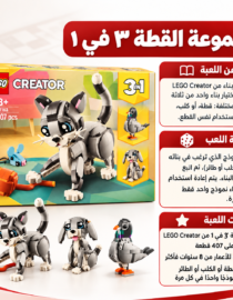 LEGO Creator 3 in 1 set box with gray cat models and orange pumpkin pieces display on a white surface informational product image