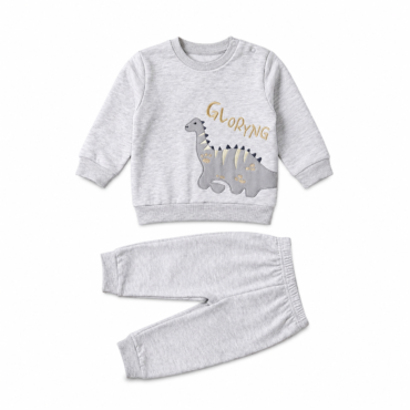 Gray toddler sweatshirt and pants set with a cartoon dinosaur graphic and gold lettering on the chest.