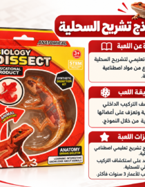 Educational biology dissection kit box with a toy dragonlizard visible through a clear window on red yellow packaging