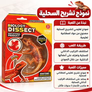Educational biology dissection kit box with a toy dragon/lizard visible through a clear window on red-yellow packaging.
