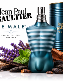 Jean Paul Gaultier Le Male perfume bottle with blue striped torso next to lavender sprigs mint leaves and chocolate piecesmens eau de toilette