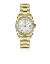 Gold wristwatch with diamond studded bezel and silver dial on a white background showing date window at 3 oclock Bacause of image
